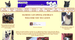Desktop Screenshot of catsup.co.uk